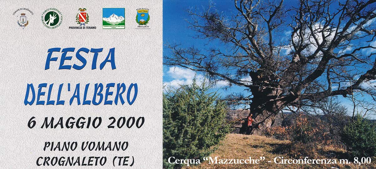 Festa dell'albero - Piano Vomano Crognaleto (TE)