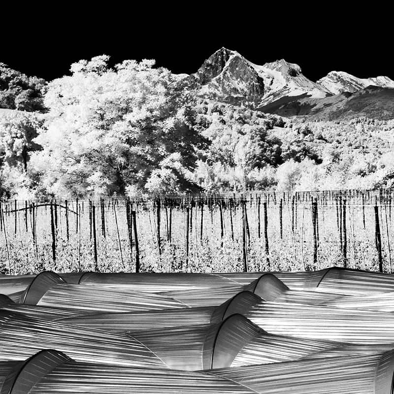 OV16