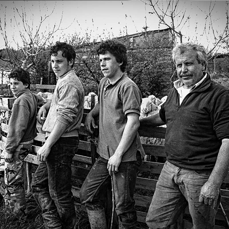 PP35